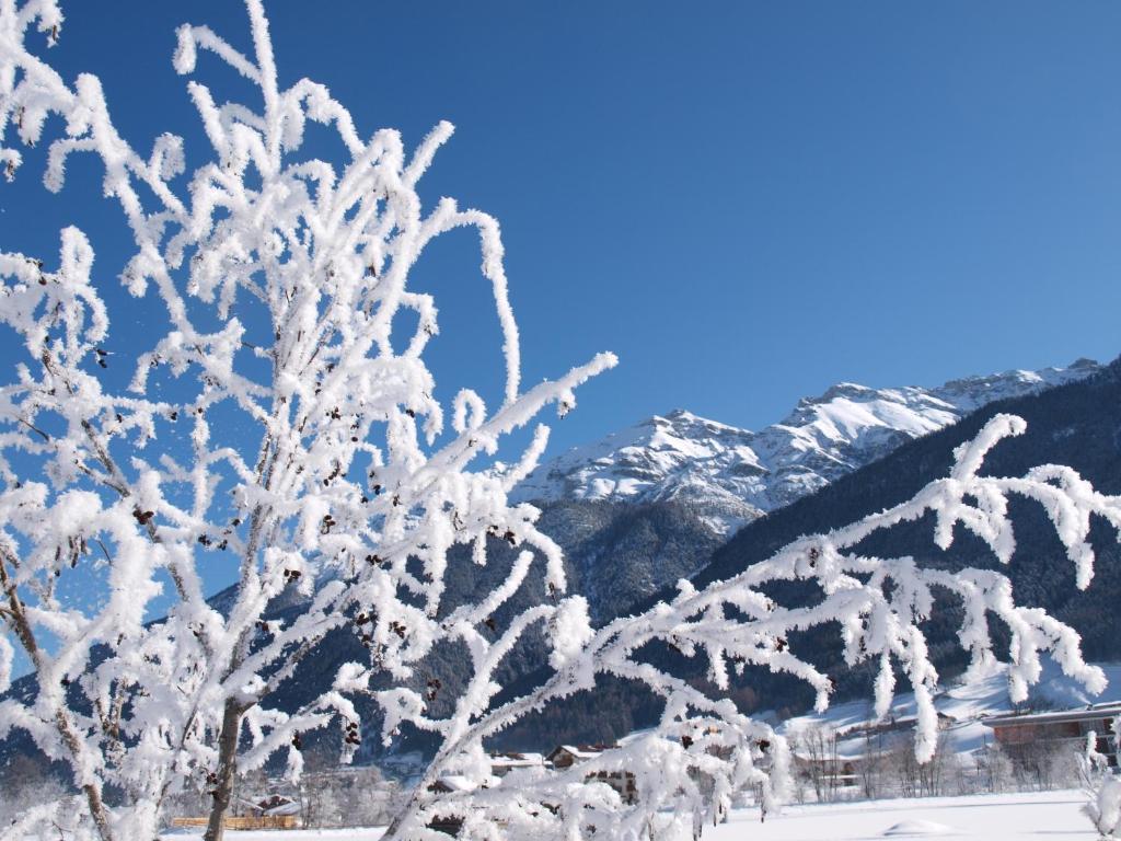 Ferienwohnung Mondial Neustift im Stubaital Esterno foto